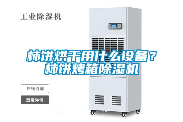 柿饼烘干用什么设备？柿饼烤箱茄子视频懂你更多在线观看