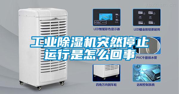 工业茄子视频懂你更多在线观看突然停止运行是怎么回事