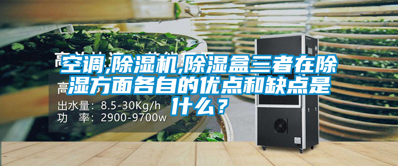 空调,茄子视频懂你更多在线观看,除湿盒三者在除湿方面各自的优点和缺点是什么？