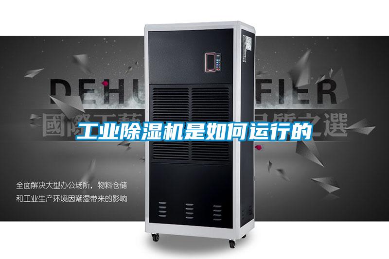 工业茄子视频懂你更多在线观看是如何运行的