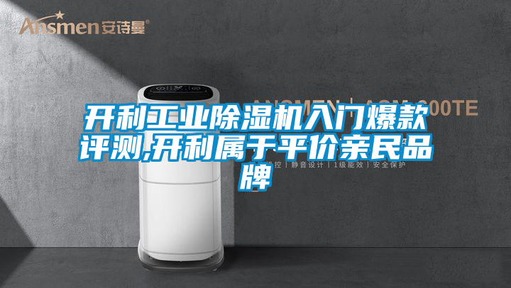 开利工业茄子视频懂你更多在线观看入门爆款评测,开利属于平价亲民品牌