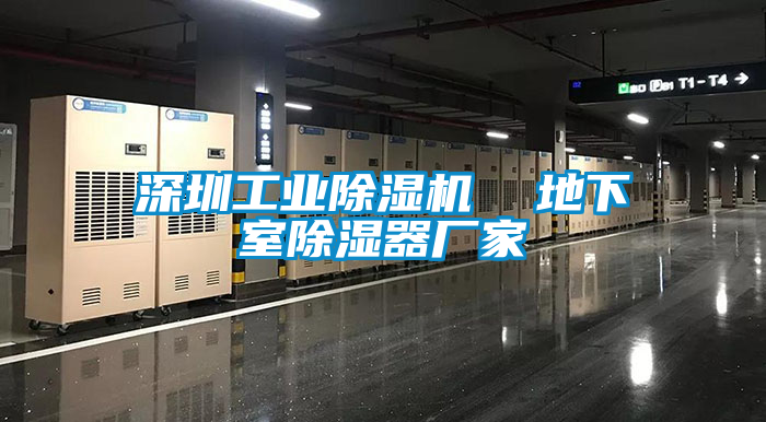深圳工业茄子视频懂你更多在线观看  地下室除湿器厂家