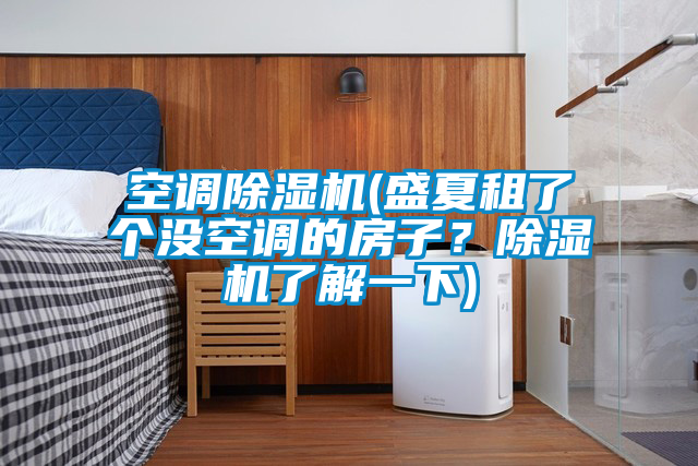 空调茄子视频懂你更多在线观看(盛夏租了个没空调的房子？茄子视频懂你更多在线观看了解一下)