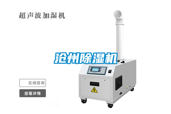 沧州茄子视频懂你更多在线观看