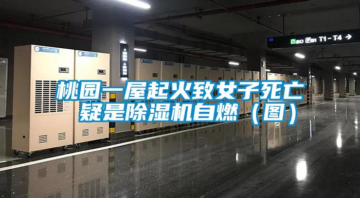 桃园一屋起火致女子死亡 疑是茄子视频懂你更多在线观看自燃（图）