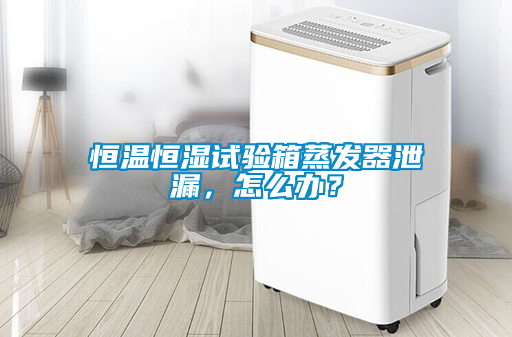 恒温恒湿试验箱蒸发器泄漏，怎么办？