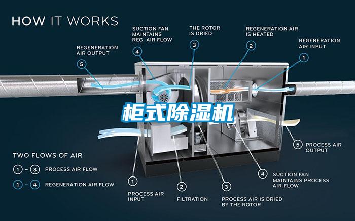 柜式茄子视频懂你更多在线观看