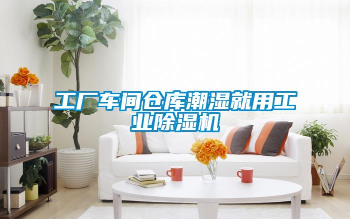 工厂车间仓库潮湿就用工业茄子视频懂你更多在线观看