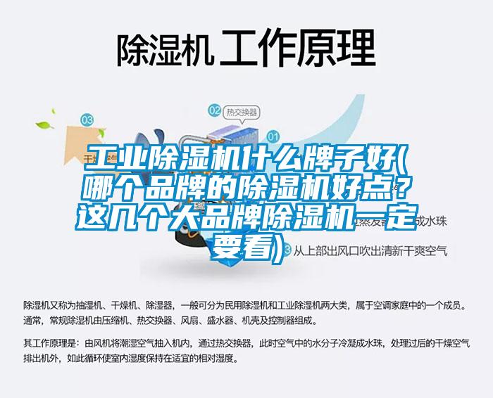 工业茄子视频懂你更多在线观看什么牌子好(哪个品牌的茄子视频懂你更多在线观看好点？这几个大品牌茄子视频懂你更多在线观看一定要看)