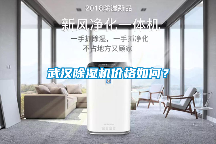 武汉茄子视频懂你更多在线观看价格如何？