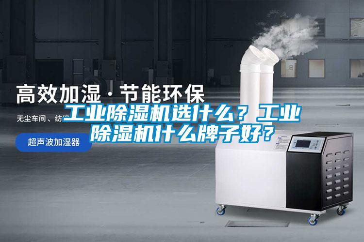 工业茄子视频懂你更多在线观看选什么？工业茄子视频懂你更多在线观看什么牌子好？