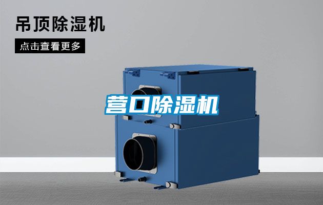 营口茄子视频懂你更多在线观看