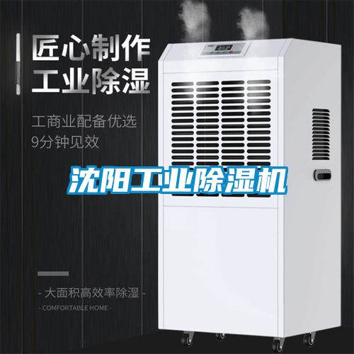 沈阳工业茄子视频懂你更多在线观看