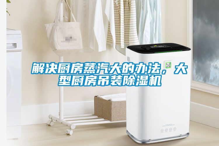 解决厨房蒸汽大的办法，大型厨房吊装茄子视频懂你更多在线观看