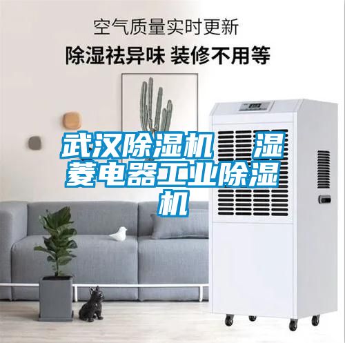 武汉茄子视频懂你更多在线观看  湿菱电器工业茄子视频懂你更多在线观看