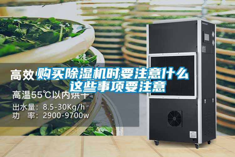 购买茄子视频懂你更多在线观看时要注意什么 这些事项要注意