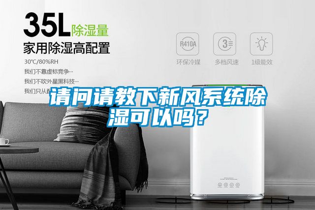 请问请教下新风系统除湿可以吗？