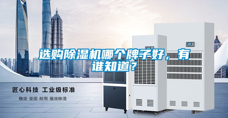 选购茄子视频懂你更多在线观看哪个牌子好，有谁知道？