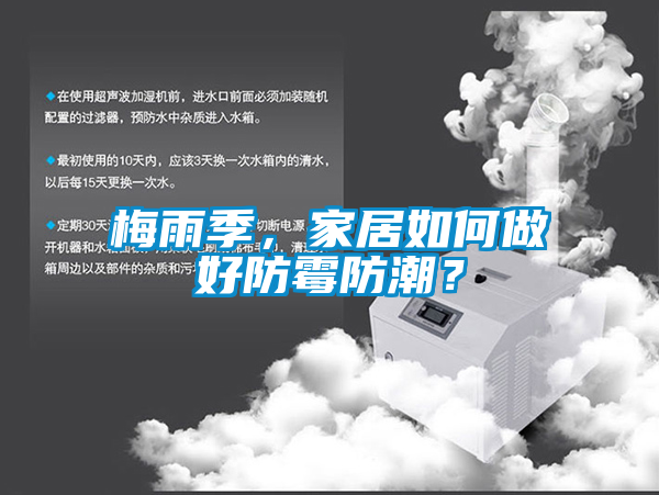 梅雨季，家居如何做好防霉防潮？