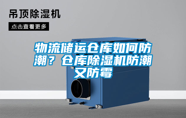 物流储运仓库如何防潮？仓库茄子视频懂你更多在线观看防潮又防霉