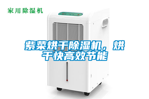 紫菜烘干茄子视频懂你更多在线观看，烘干快高效节能