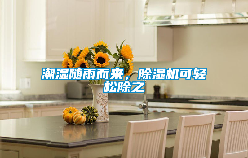 潮湿随雨而来，茄子视频懂你更多在线观看可轻松除之