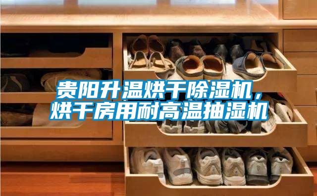贵阳升温烘干茄子视频懂你更多在线观看，烘干房用耐高温抽湿机