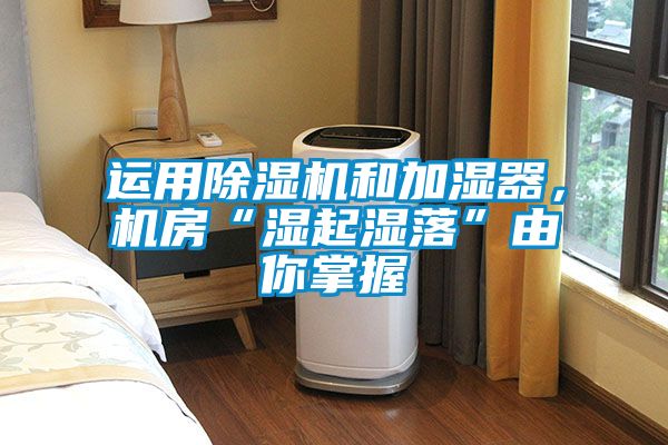 运用茄子视频懂你更多在线观看和加湿器，机房“湿起湿落”由你掌握