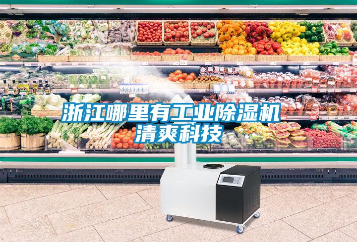 浙江哪里有工业茄子视频懂你更多在线观看 清爽科技