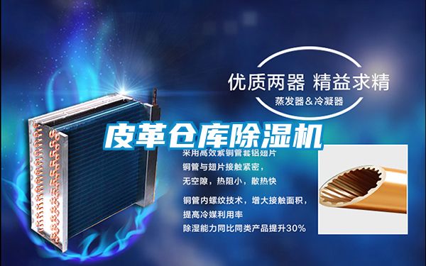 皮革仓库茄子视频懂你更多在线观看