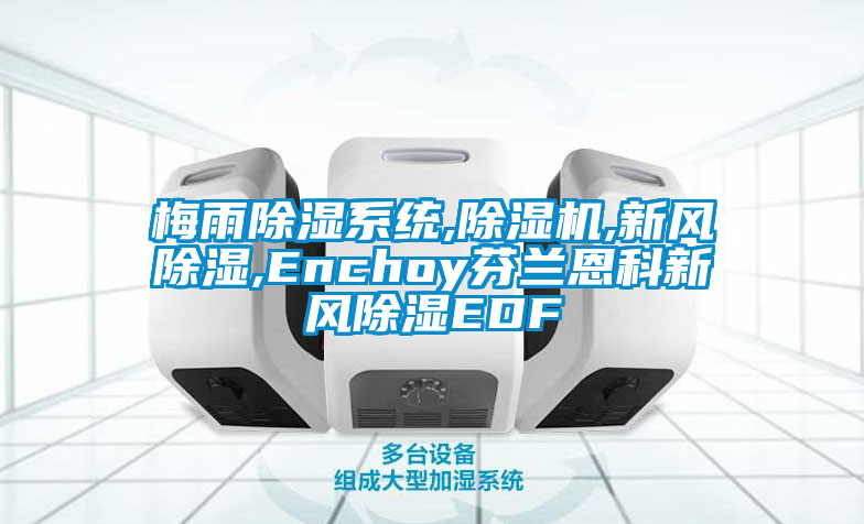 梅雨除湿系统,茄子视频懂你更多在线观看,新风除湿,Enchoy芬兰恩科新风除湿EDF