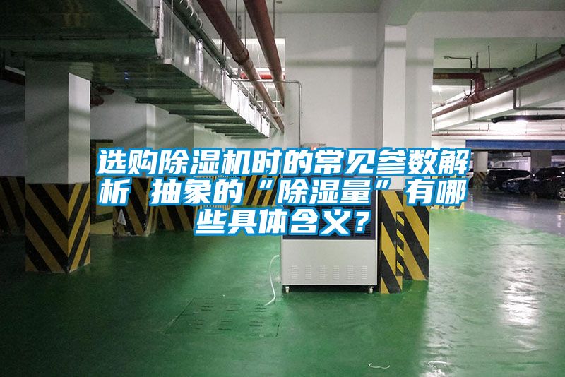 选购茄子视频懂你更多在线观看时的常见参数解析 抽象的“除湿量”有哪些具体含义？