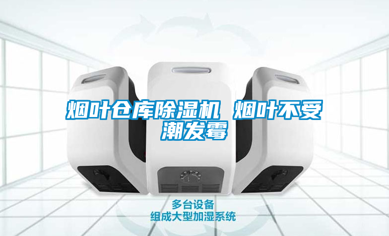 烟叶仓库茄子视频懂你更多在线观看 烟叶不受潮发霉