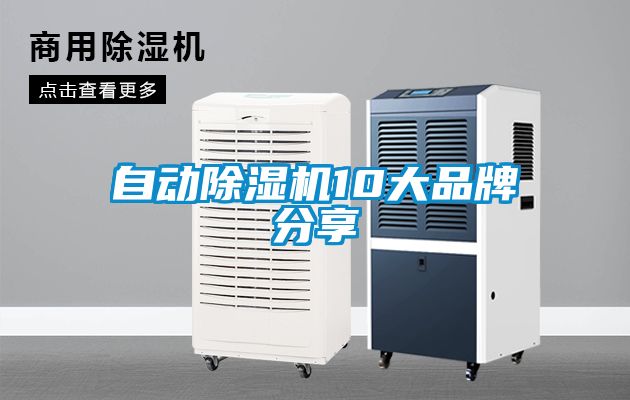 自动茄子视频懂你更多在线观看10大品牌分享