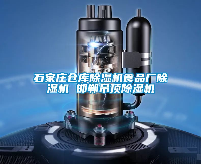 石家庄仓库茄子视频懂你更多在线观看食品厂茄子视频懂你更多在线观看 邯郸吊顶茄子视频懂你更多在线观看