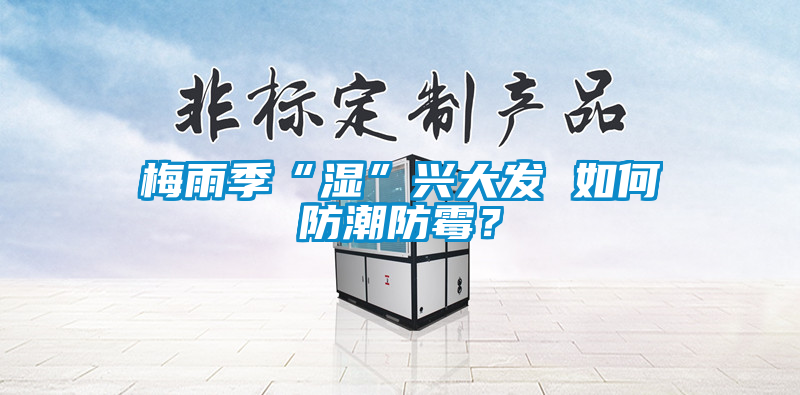 梅雨季“湿”兴大发 如何防潮防霉？