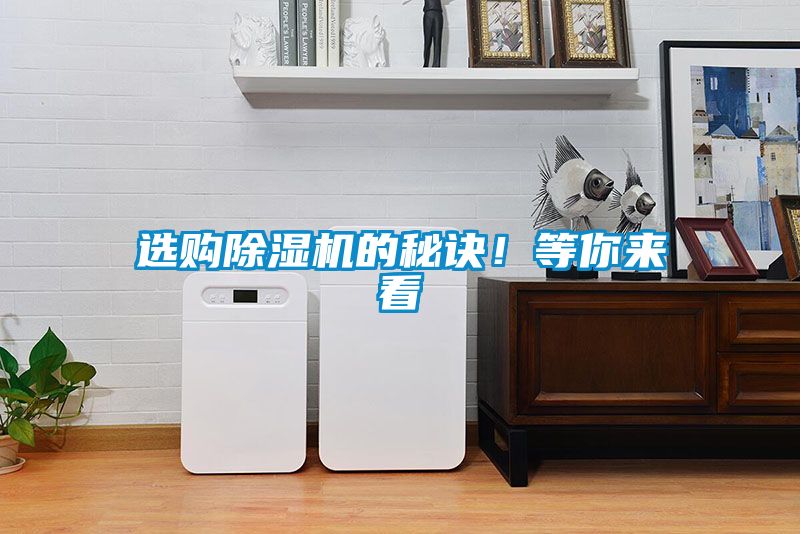 选购茄子视频懂你更多在线观看的秘诀！等你来看