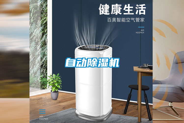 自动茄子视频懂你更多在线观看