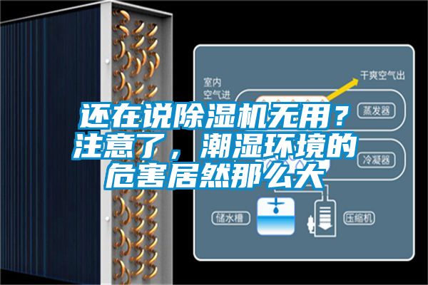 还在说茄子视频懂你更多在线观看无用？注意了，潮湿环境的危害居然那么大