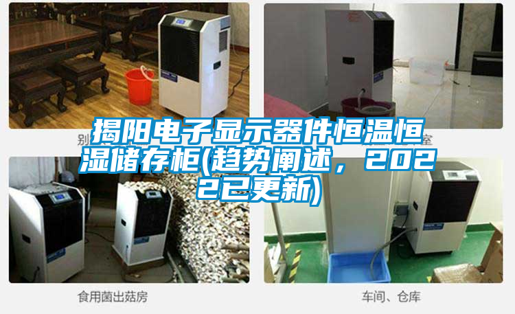 揭阳电子显示器件恒温恒湿储存柜(趋势阐述，2022已更新)