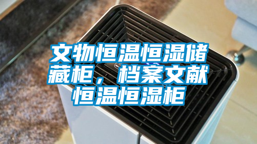 文物恒温恒湿储藏柜，档案文献恒温恒湿柜