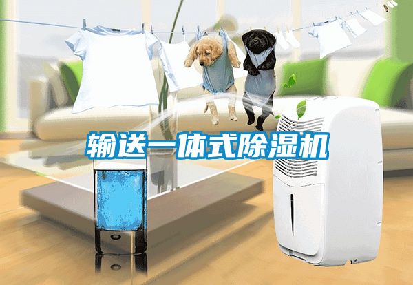 输送一体式茄子视频懂你更多在线观看