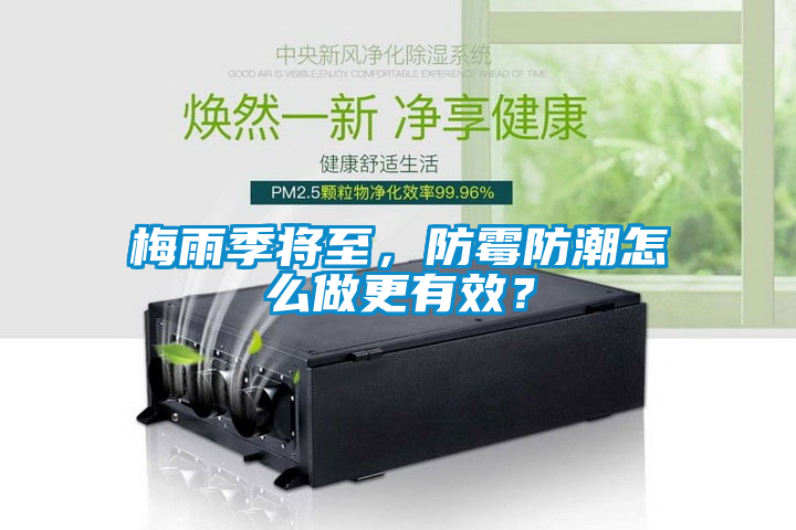 梅雨季将至，防霉防潮怎么做更有效？