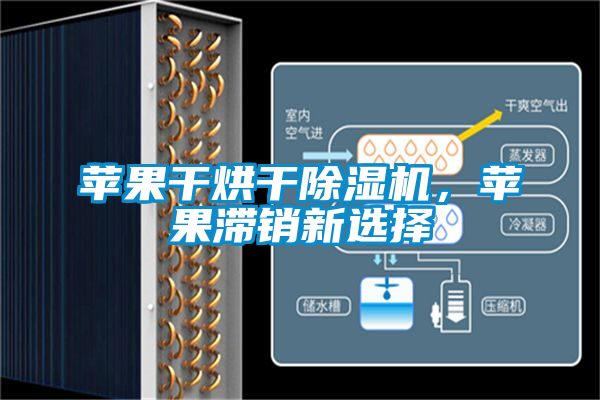 苹果干烘干茄子视频懂你更多在线观看，苹果滞销新选择
