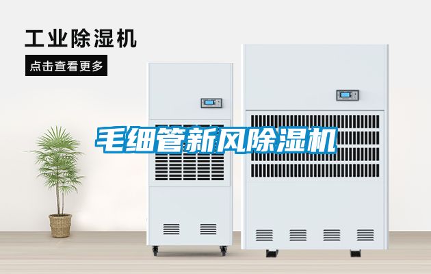 毛细管新风茄子视频懂你更多在线观看