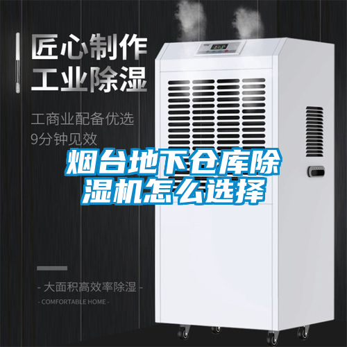 烟台地下仓库茄子视频懂你更多在线观看怎么选择