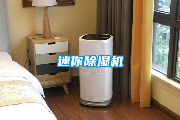 迷你茄子视频懂你更多在线观看