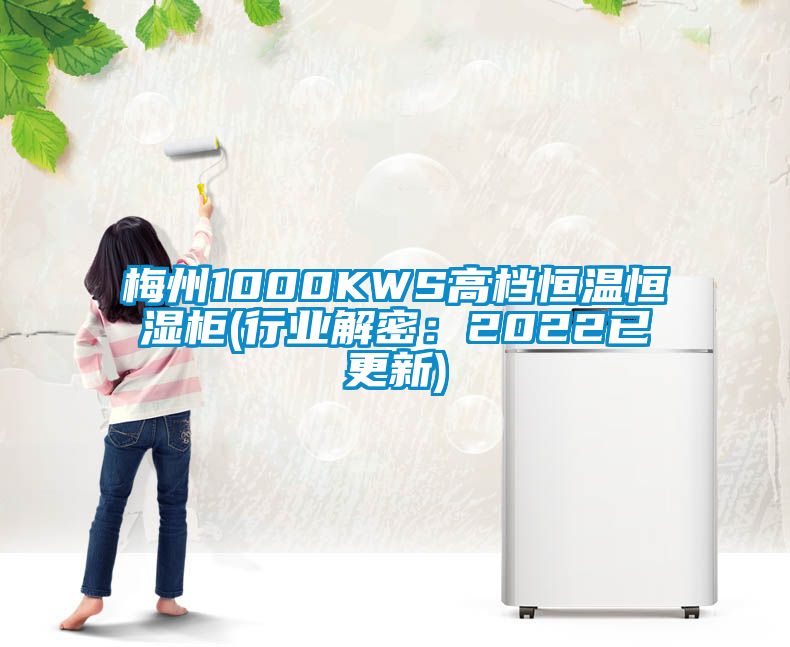 梅州1000KWS高档恒温恒湿柜(行业解密：2022已更新)