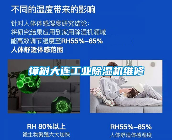 樟树大连工业茄子视频懂你更多在线观看维修