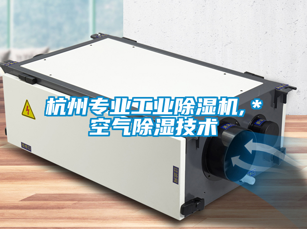 杭州专业工业茄子视频懂你更多在线观看,＊空气除湿技术